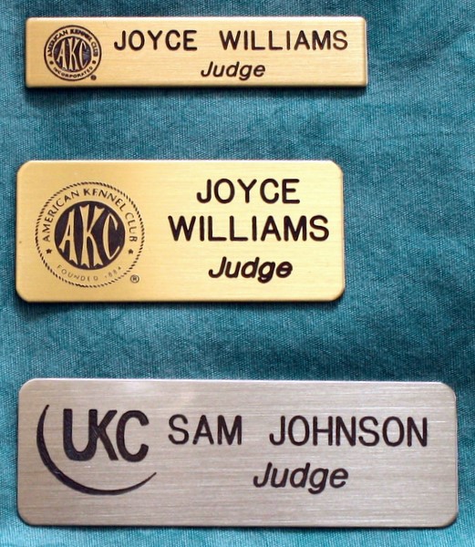Brass Judge's Pins - All Three Sizes with Logo