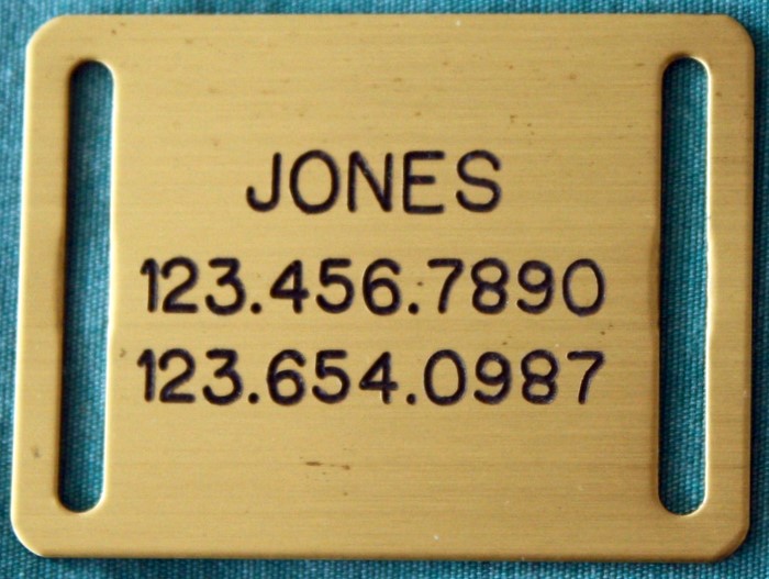 Large Slide-On Pet Tag