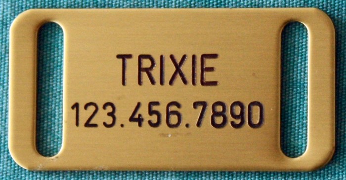 Small Slide-On Pet Tag