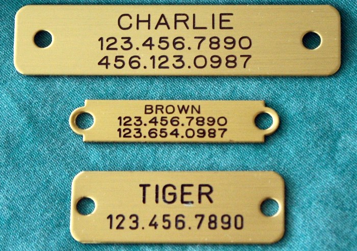 Pet ID Brass Collar Tags: All 3 Sizes for Comparison