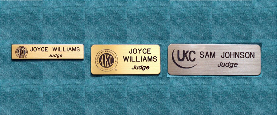 Judge's Pins