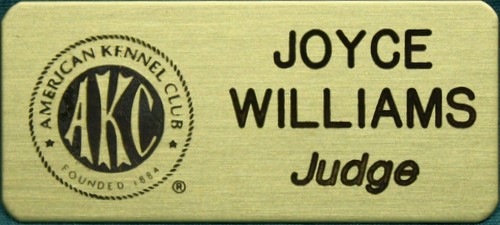 Judge's Pin