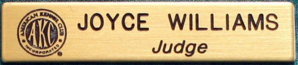 Judge's Pin