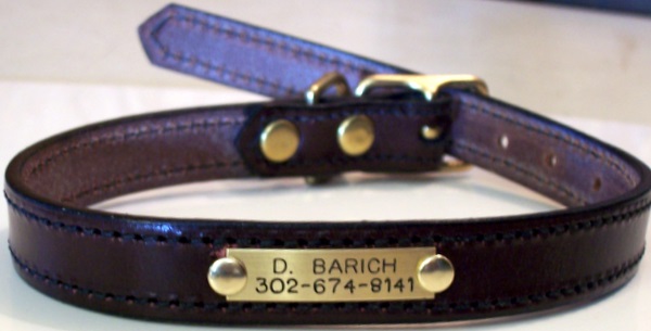 Pet ID Tag on a Collar