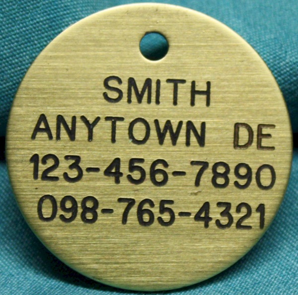 Pet ID Tag - Large, Brass