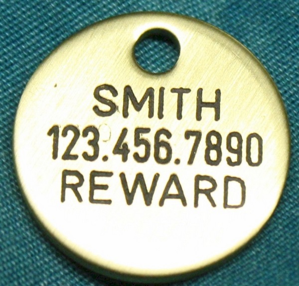 Pet ID Tag - Small, Brass