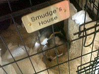 Smudge's House - Brass Crate Sign